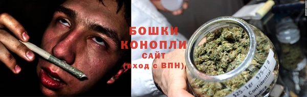эйфоретик Богданович