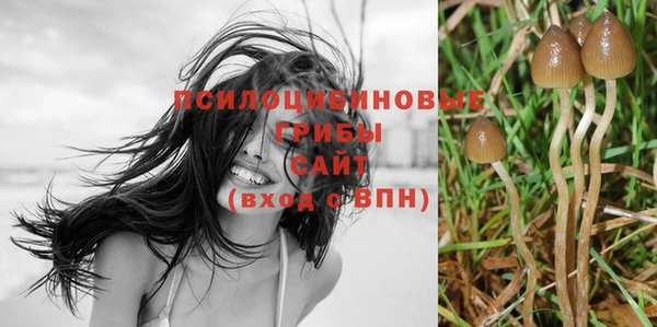 метадон Тавда