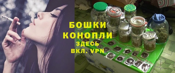 эйфоретик Богданович