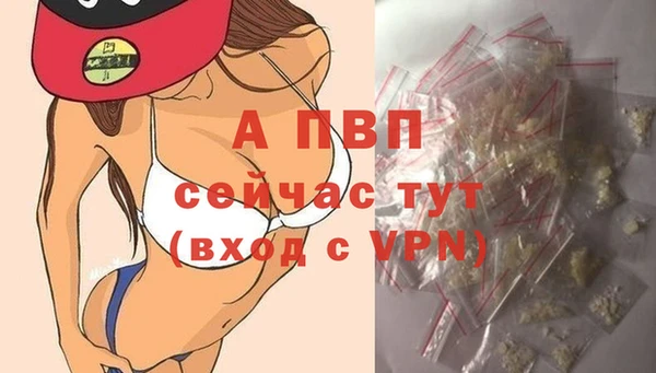 сатива Богородск