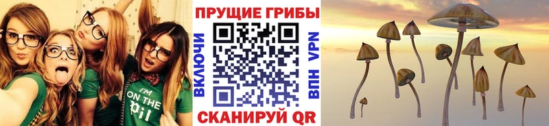 blacksprut ONION  Ковдор  Галлюциногенные грибы Psilocybe  купить  сайты 